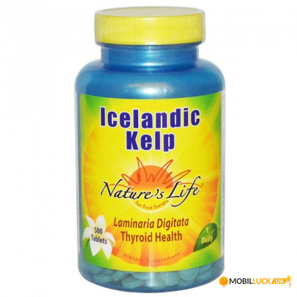   Nature's Life Icelandic Kelp 500  (4384303838)