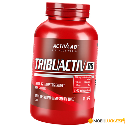 ҳ Activlab Tribuactiv B6 90  (08108005)