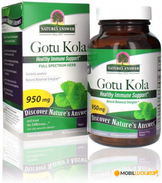   Natures Answer Gotu Kola 90  (4384303841)