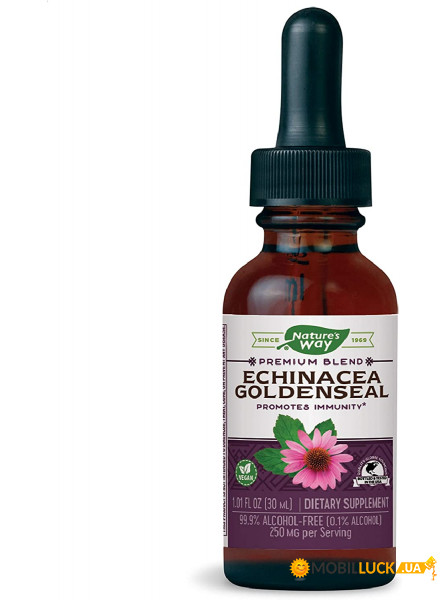   Nature's Way Echinacea 30  (4384302910)