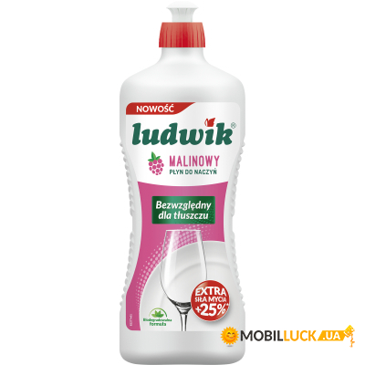      Ludwik  450  (5900498029727)