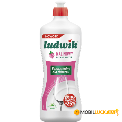      Ludwik  900  (5900498028201)