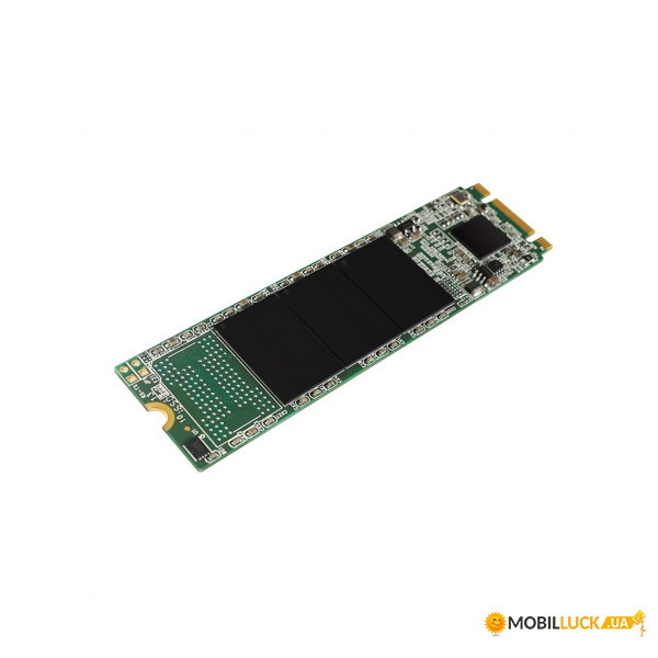 SSD  Silicon Power 1Tb M.2 2280 A55 (SP001TBSS3A55M28)