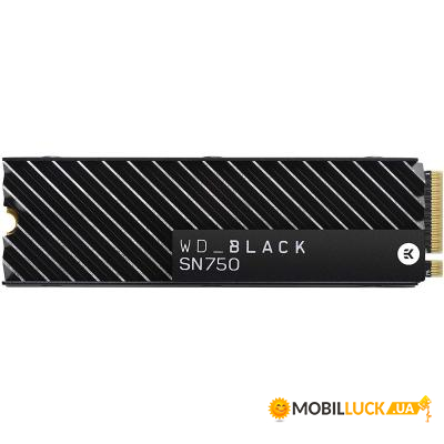  SSD M.2 2280 1TB WD (WDS100T3XHC)