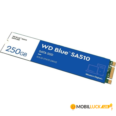  SSD M.2 2280 250GB SA510 WD (WDS250G3B0B)