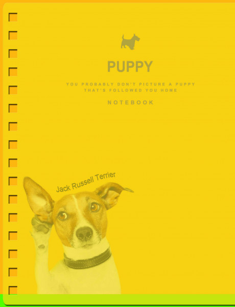  5/144 .. PUPPY YES (681453)