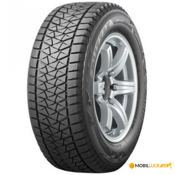  Bridgestone DM-V2 275/40 R20 106T XL