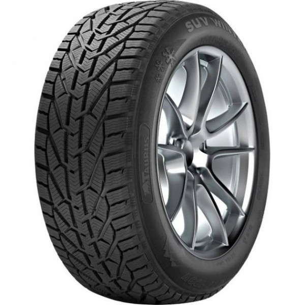   Taurus Winter 245/45 R18 100V XL