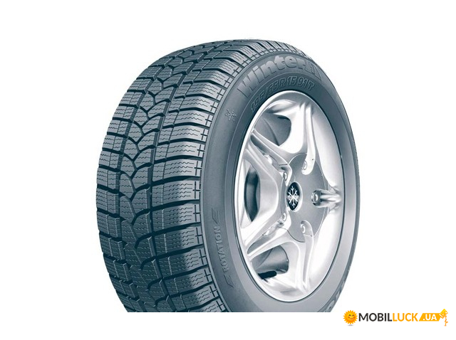 Tigar Winter1 165/70 R13 79T