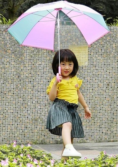  WK mini Umbrella WT-U06  (6970349283850)