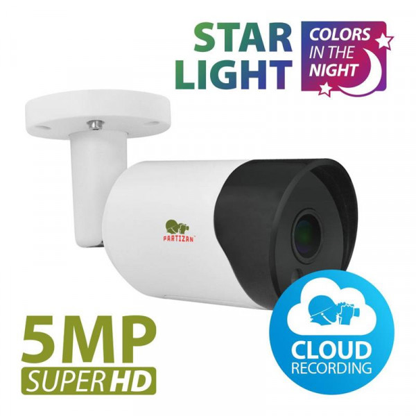 IP  Partizan IPO-5SP Starlight 1.0 Cloud