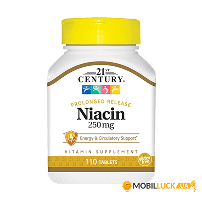    21st Century Niacin 250 mg 110  (CN3910)