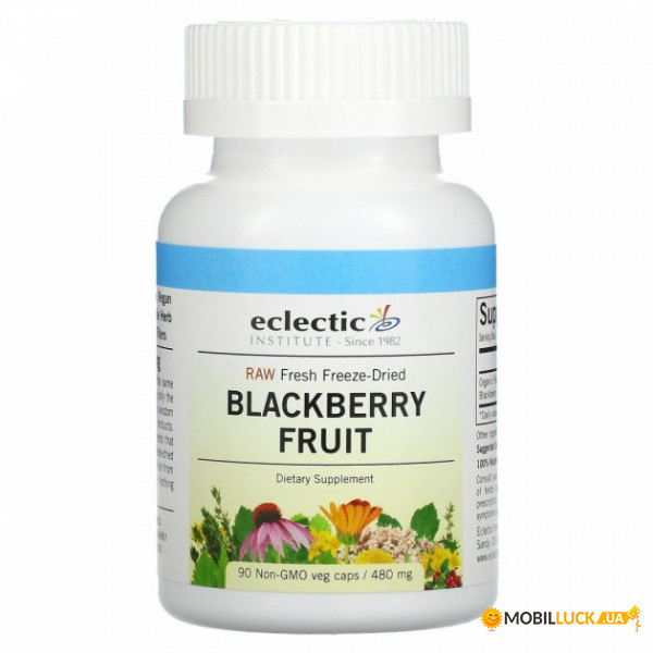  Eclectic Institute (Blackberry Fruit) 480  90 