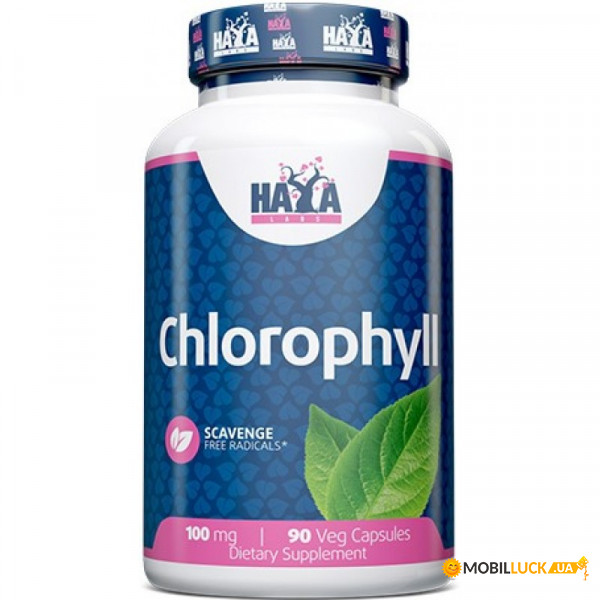  Haya Labs Chlorophyll 100 mg 90  