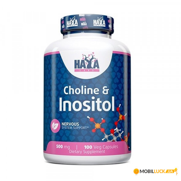 ³ Haya Labs Choline  Inositol 100 