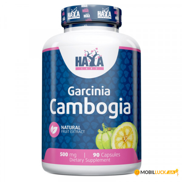  Haya Labs Garcinia Cambogia 500 mg 90  