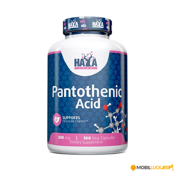  Haya Labs Pantothenic Acid 500 mg 100  