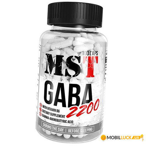 GAMK MST Gaba 2200 100  (72288004)