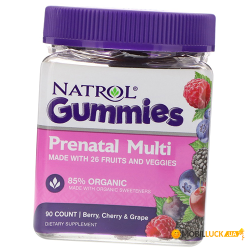  Natrol Prenatal Multi Gummies 90 - (36358043)