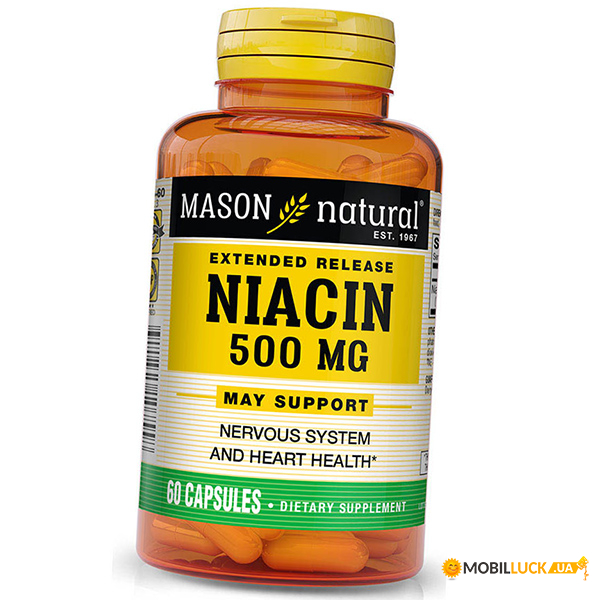    Mason Natural Extended Release Niacin 500 60 (36529049)