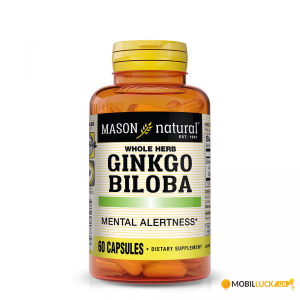  Mason Natural Ginkgo Biloba 60  