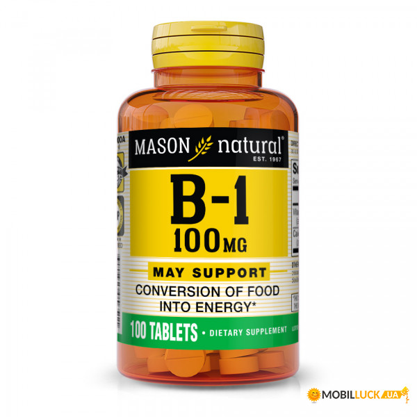  Mason Natural Vitamin B1 100 mcg 100  