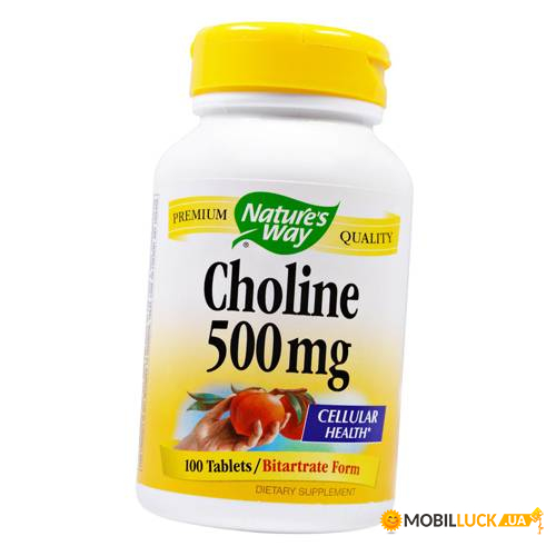 ³ Nature's Way Choline 500 100 (36344007)