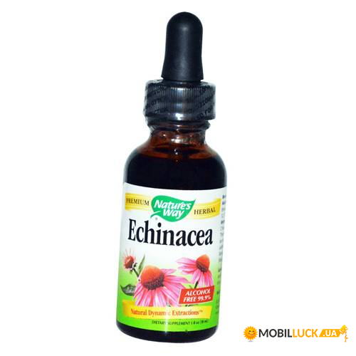 ³ Nature's Way Echinacea 30 (36344046)