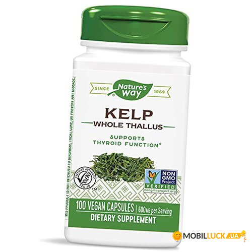  Natures Way Kelp 600 100 (36344111)