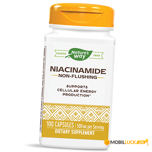 ³ Nature's Way Niacinamide 500 100 (36344077)