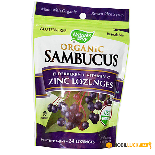  Nature's Way Organic Sambucus 24  (36344076)