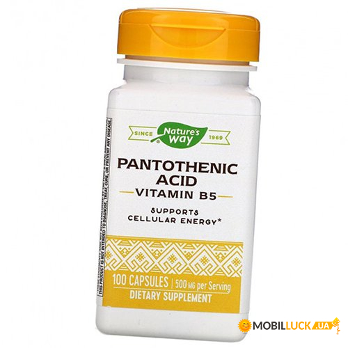 ³ Nature's Way Pantothenic Acid 100 (36344003)