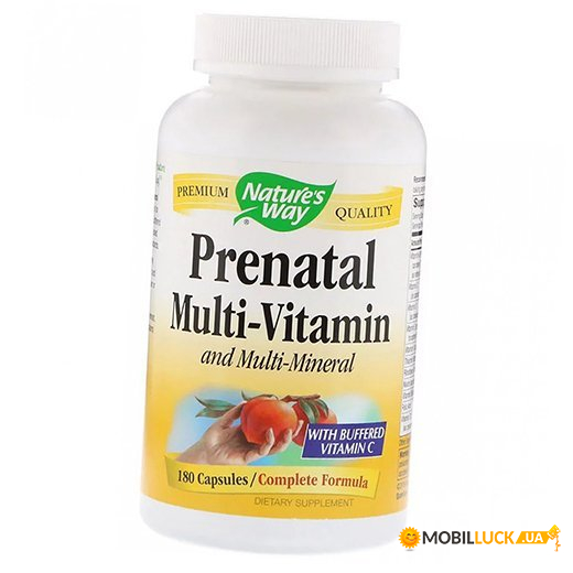 ³ Nature's Way Prenatal Multi 180 (36344100)