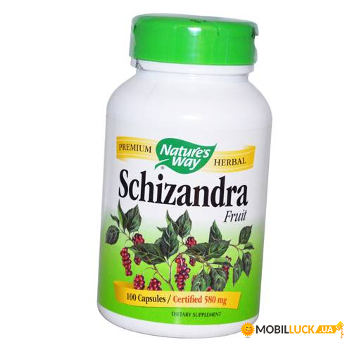  Nature's Way Schisandra 100 (36344035)