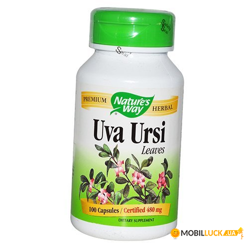  Nature's Way Uva Ursi 100 (36344066)