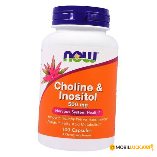  Now Foods Choline & Inositol 100 (36128059)