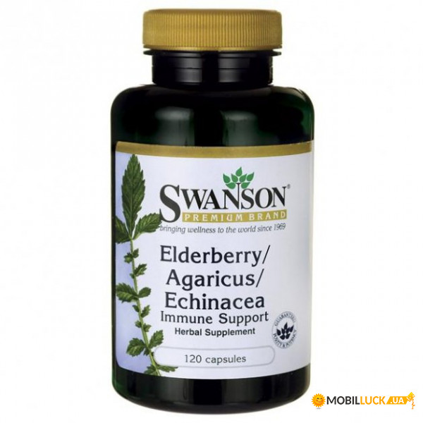        Swanson (Elderberry/Agaricus/Echinacea Immune Support) 120 