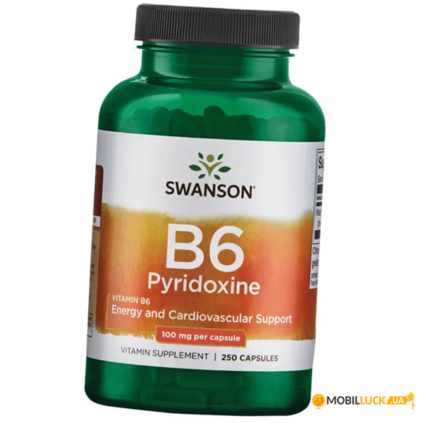  Swanson Vitamin B6 Pyridoxine 100 250 (36280095)