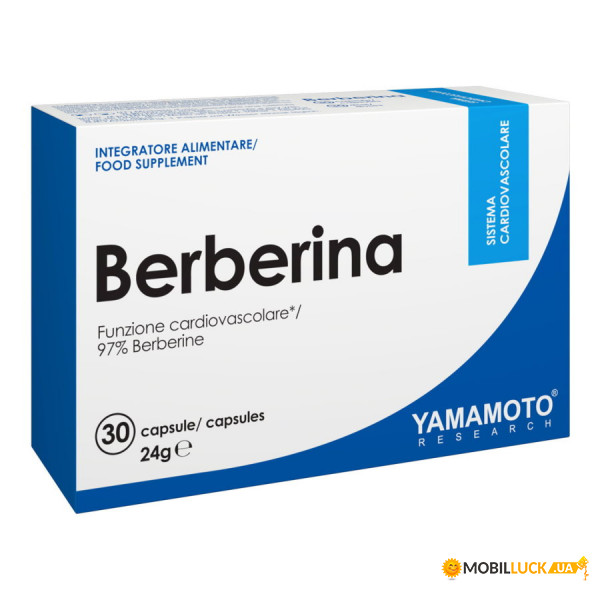    Yamamoto Berberina 30  