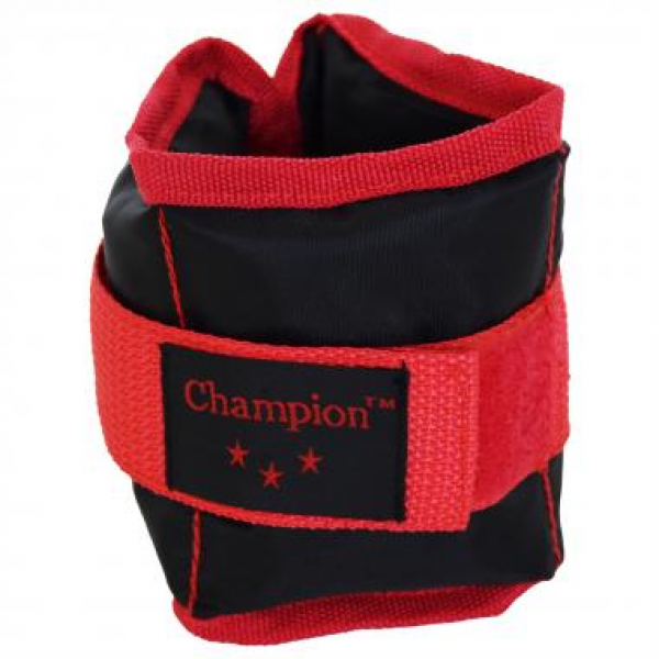  Champion 2   0.25  100-59-0253907-20