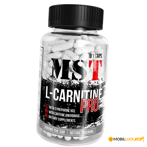   MST L-Carnitine Pro 90 (02288012)