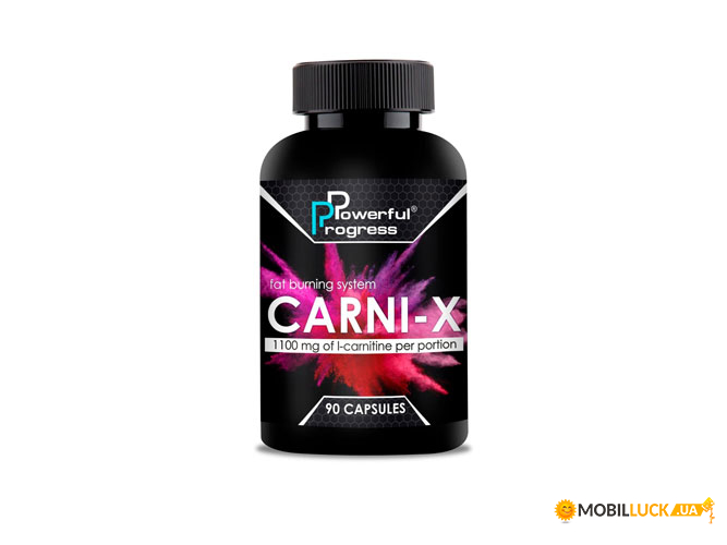  Powerful Progress L-Carnitine 90 