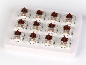    KEYCHRON Gateron  Switch with Holder Set  12Pcs/Set Brown (Z3_KEYCHRON)