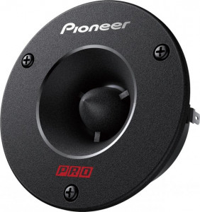  Pioneer TS-B1010PRO 3