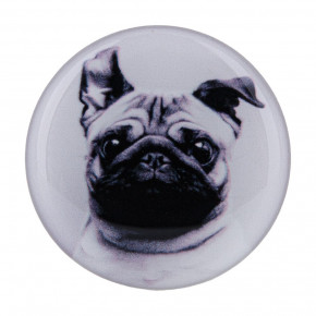  PopSocket Circle Pug 01 13