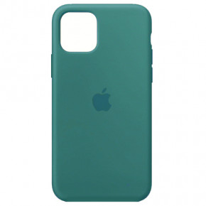  Silicone Case Full iPhone 11 (61) cactus