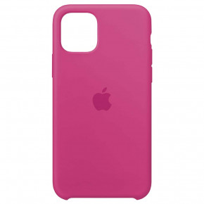 Silicone case iPhone 11 (54) dragon fruit