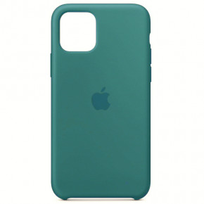  Silicone case iPhone 12 mini (61) cactus