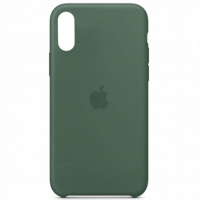  Silicone case iPhone XR (58) pine green