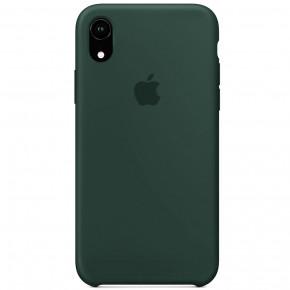  Silicone case iPhone XR (64) cyprus green